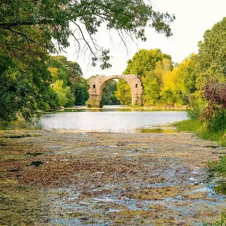 Moderne * Piscine Privee 5x10 * Climatisation * Camargue וילה